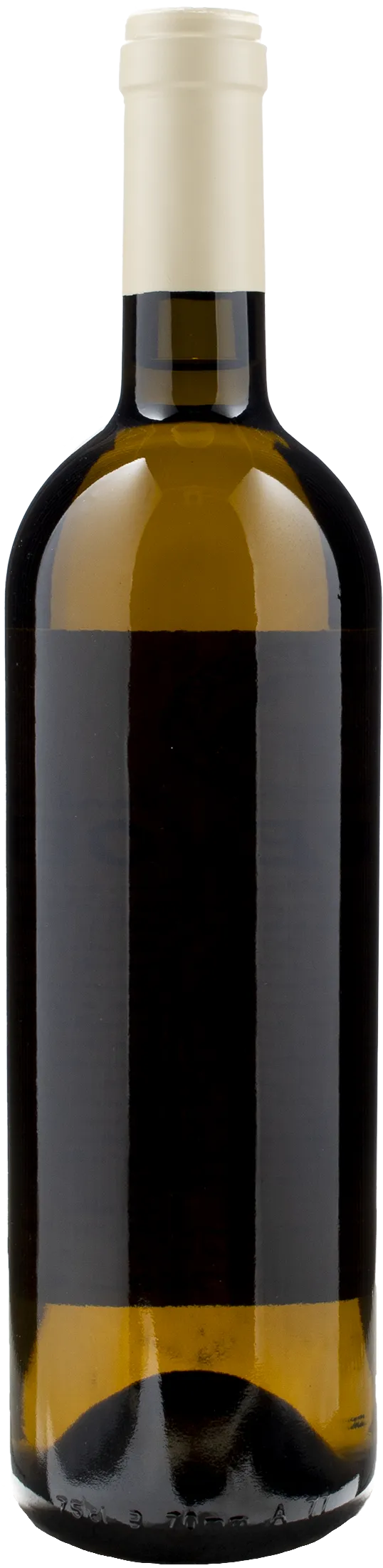 Monastero Trappiste Vitorchiano Coenobium 2022