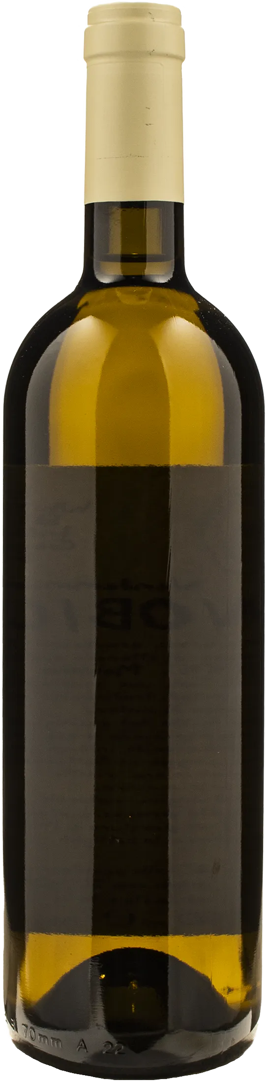 Monastero Trappiste Vitorchiano Coenobium 2024