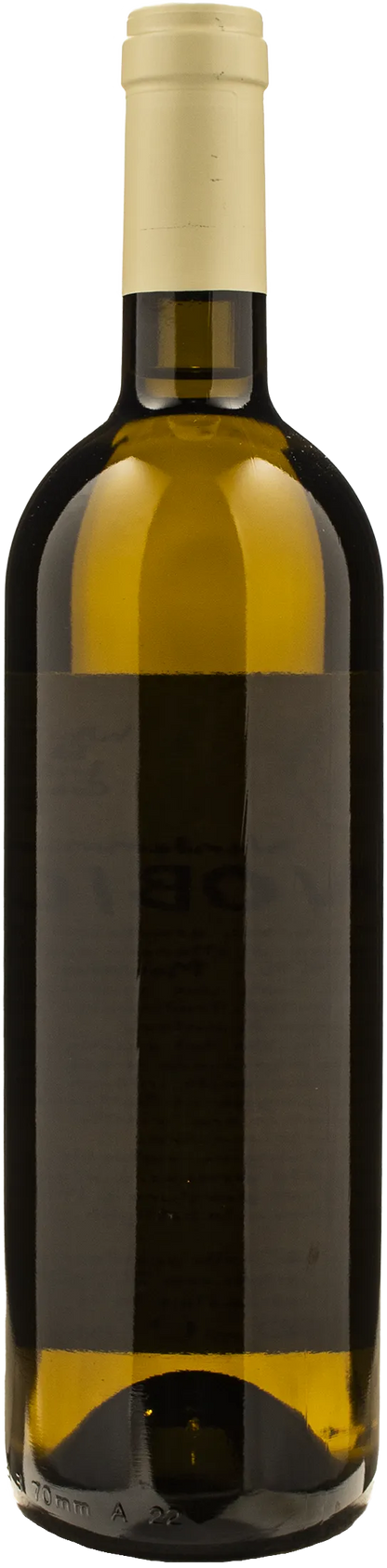 Monastero Trappiste Vitorchiano Coenobium 2024