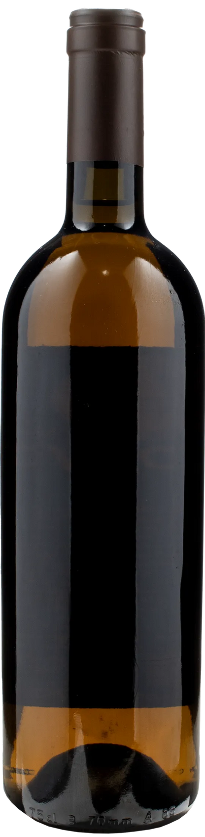 Monastero Trappiste Vitorchiano Coenobium Ruscum 2022