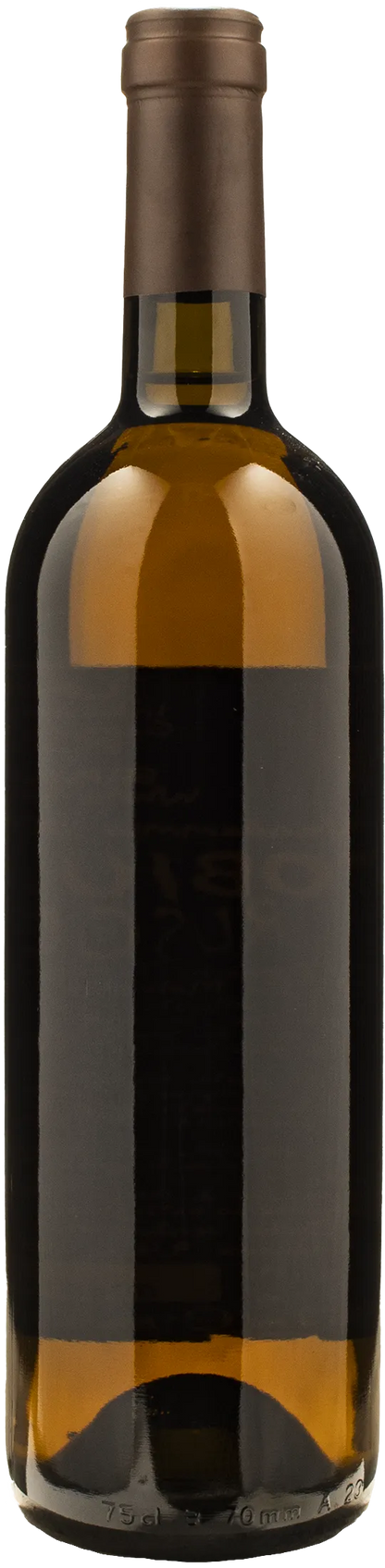 Monastero Trappiste Vitorchiano Coenobium Ruscum 2024