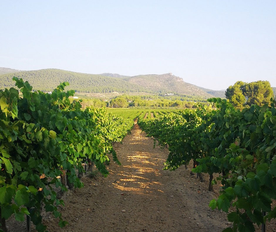 Mont Marcal