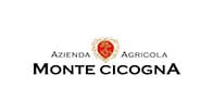 Monte Cicogna