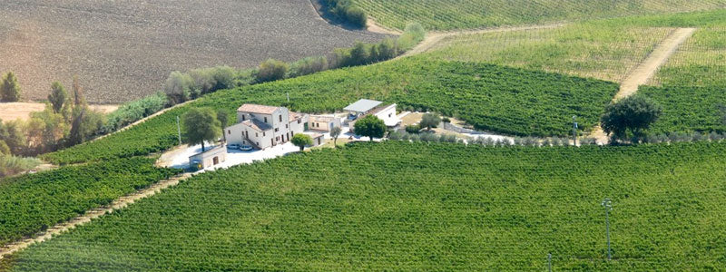 Monte Schiavo