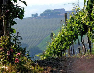 Monte Schiavo