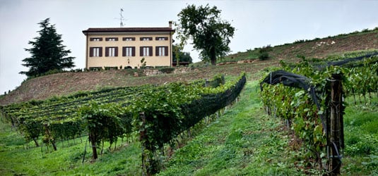 Monte Zovo – Famiglia Cottini