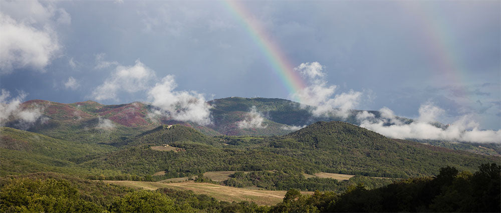 Montepeloso