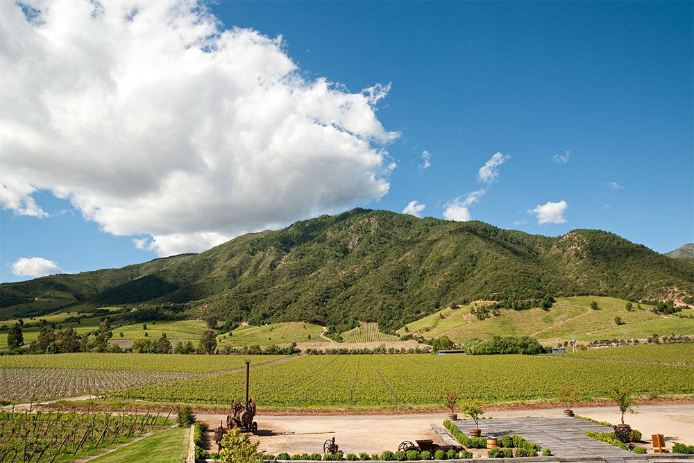 Montes