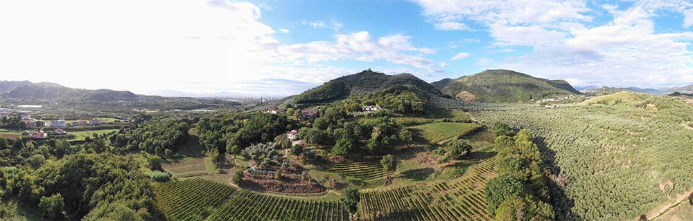 Montevetrano