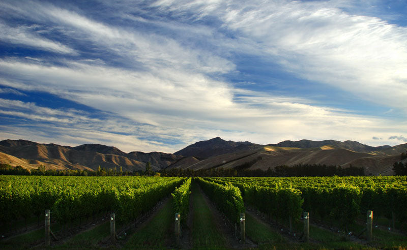 Mount Nelson (Antinori)