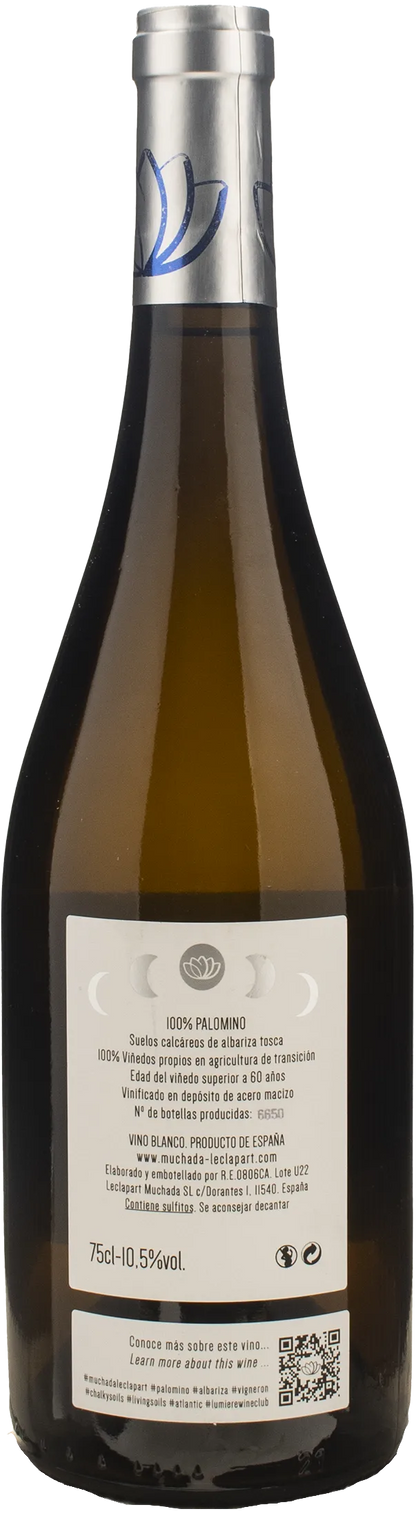 Muchada Leclapart Univers 2022