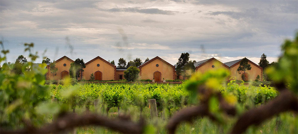 Murray Street Vineyards