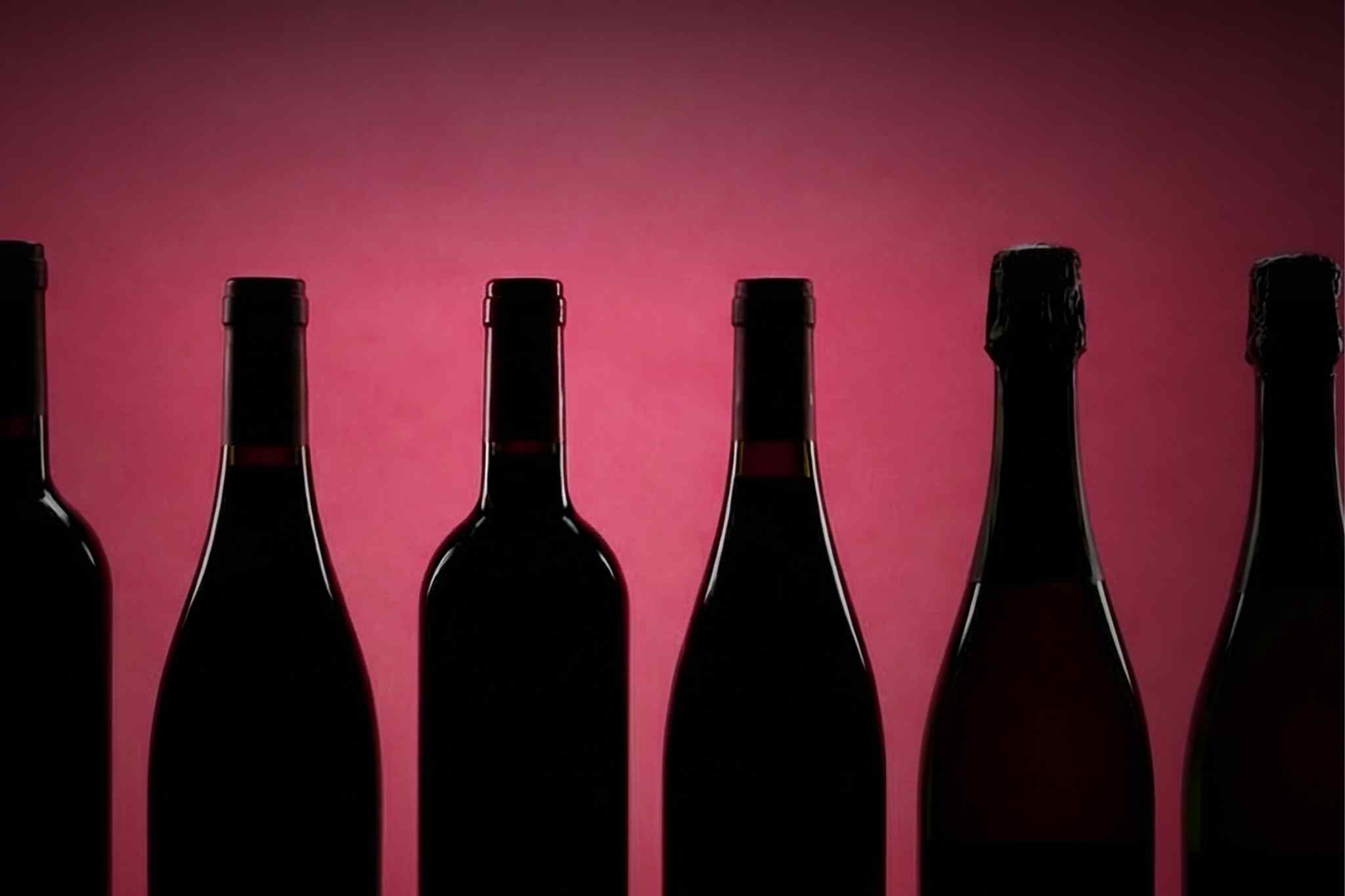Freshly Selected Wines