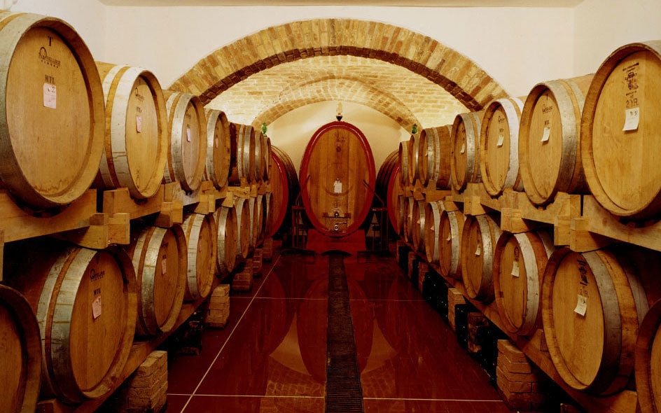 Orlandi Contucci Ponno