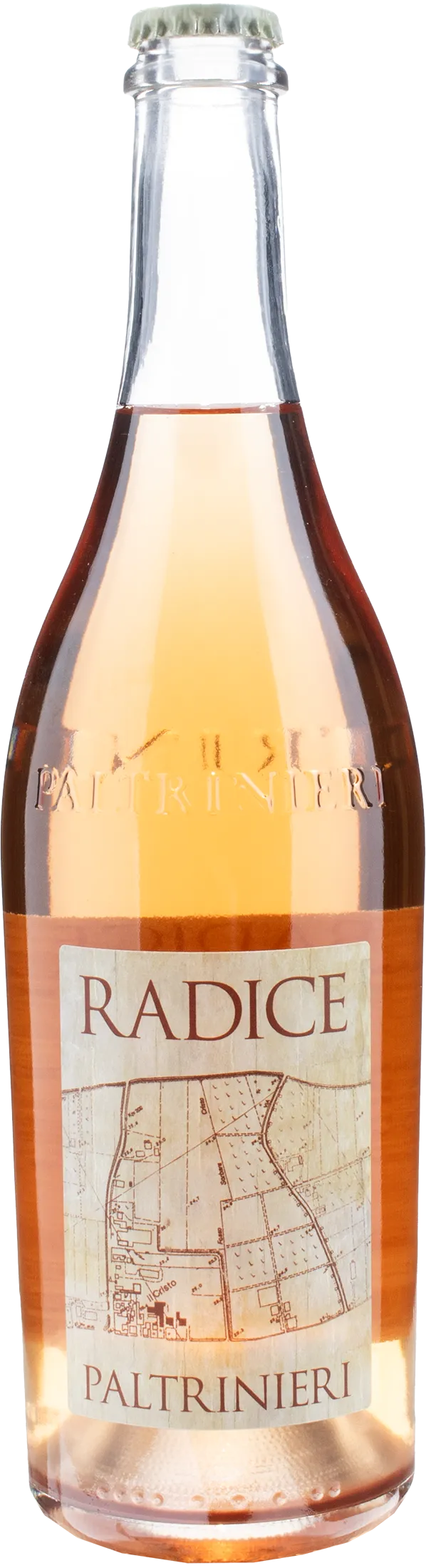 Paltrinieri Lambrusco Radice 2022