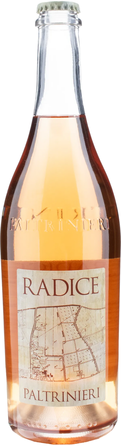 Paltrinieri Lambrusco Radice 2022