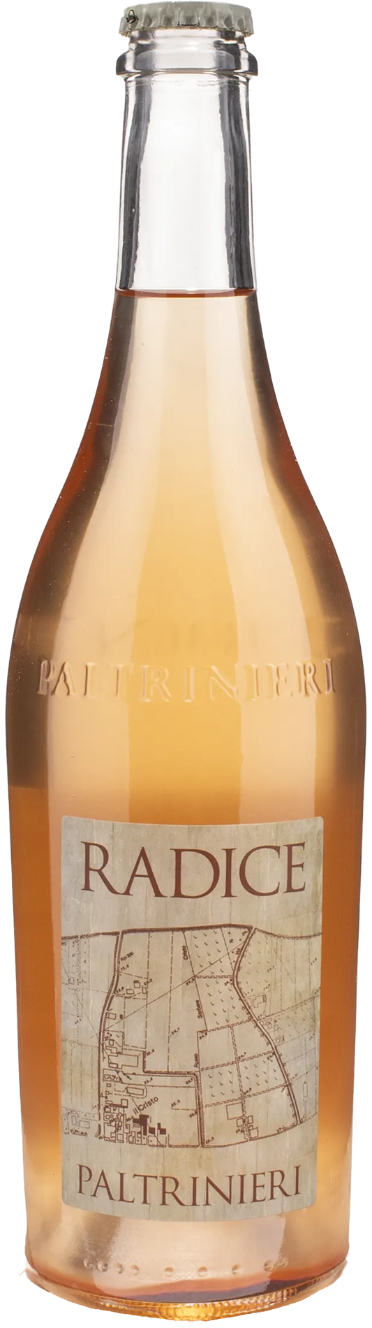 Paltrinieri Lambrusco Radice 2023