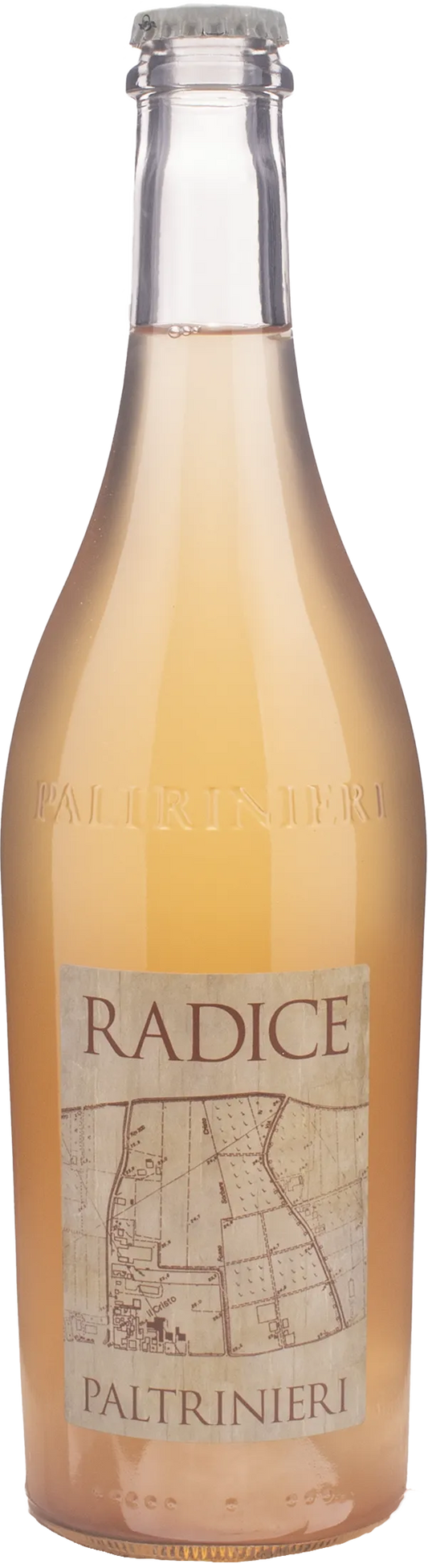 Paltrinieri Lambrusco Radice 2024