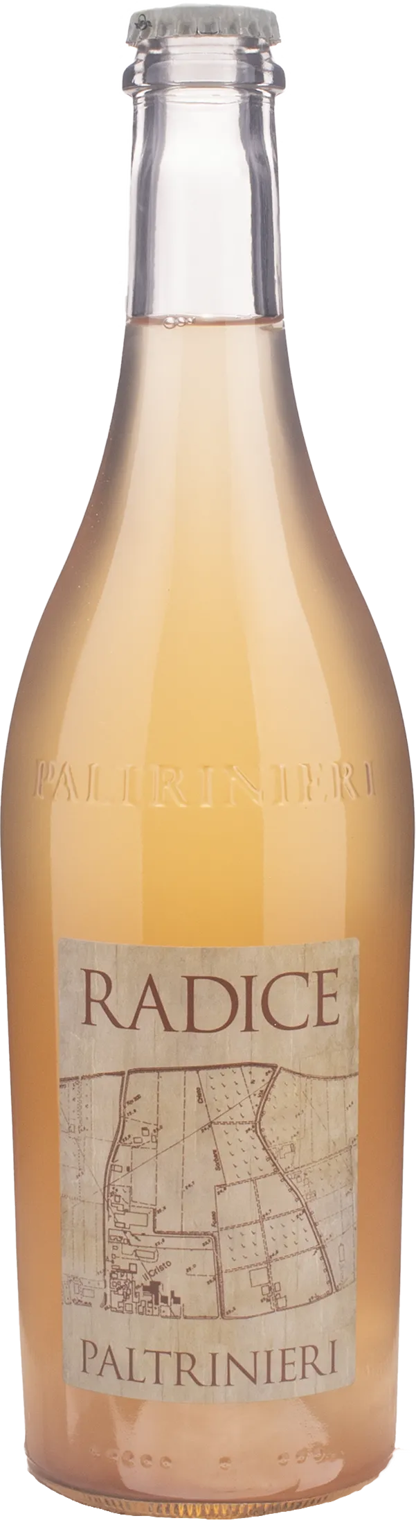 Paltrinieri Lambrusco Radice 2024