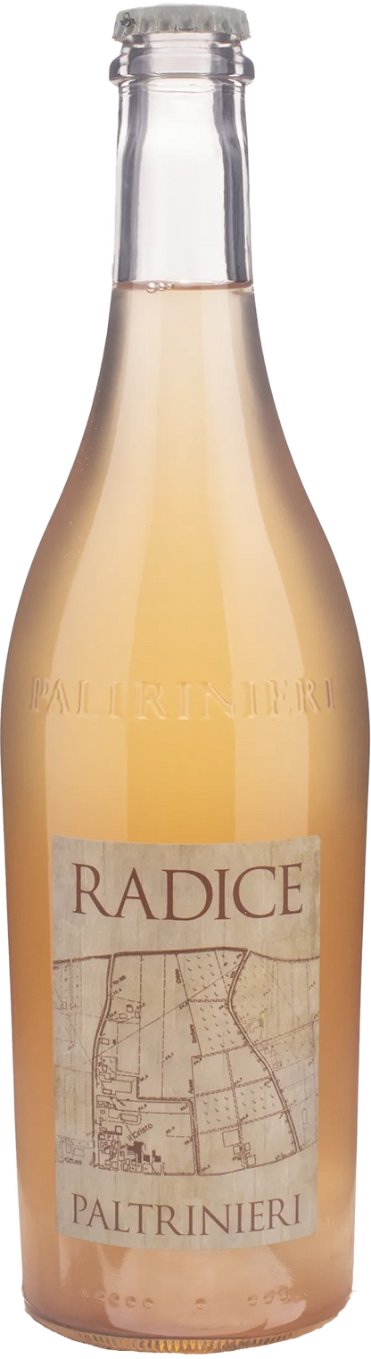 Paltrinieri Lambrusco Radice 2024