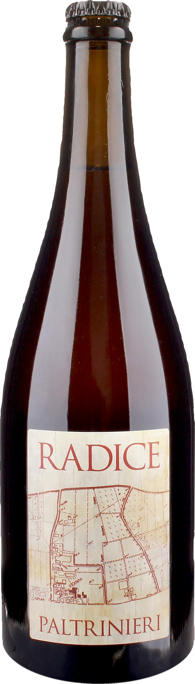 Paltrinieri Lambrusco Radice 2025