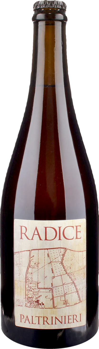 Paltrinieri Lambrusco Radice 2025
