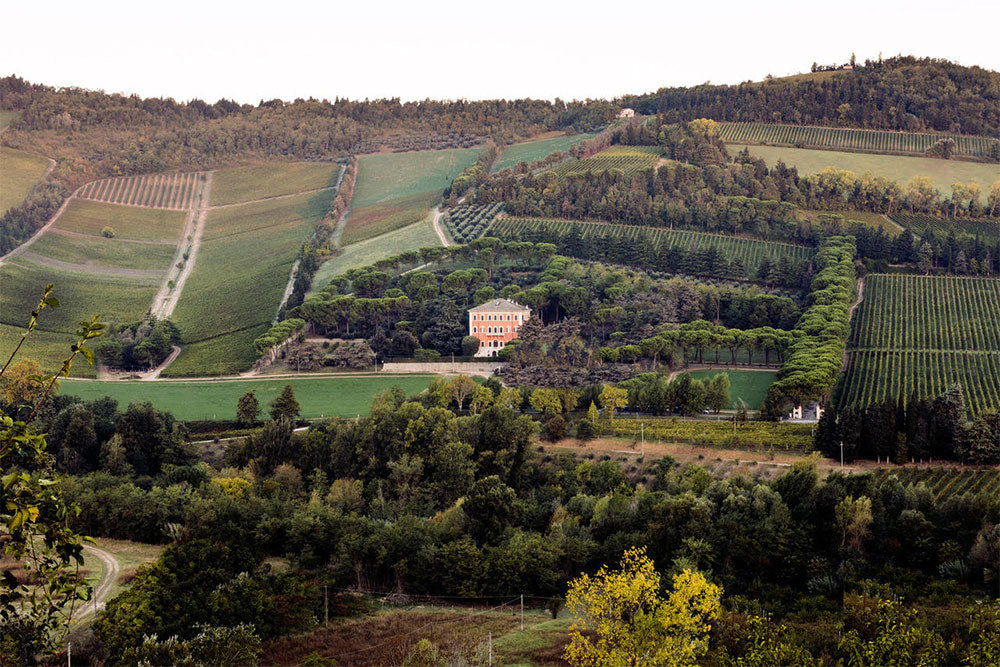 Pandolfa
