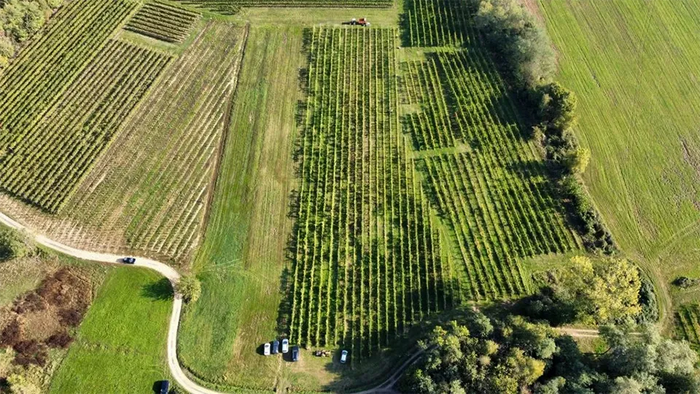Paride Chiovini