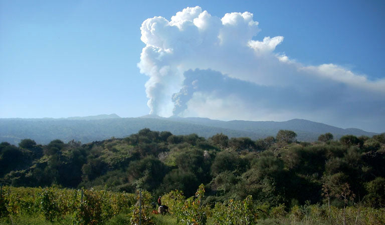 Passocannone