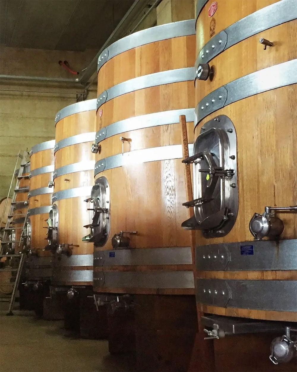 Paternoster (Tommasi)