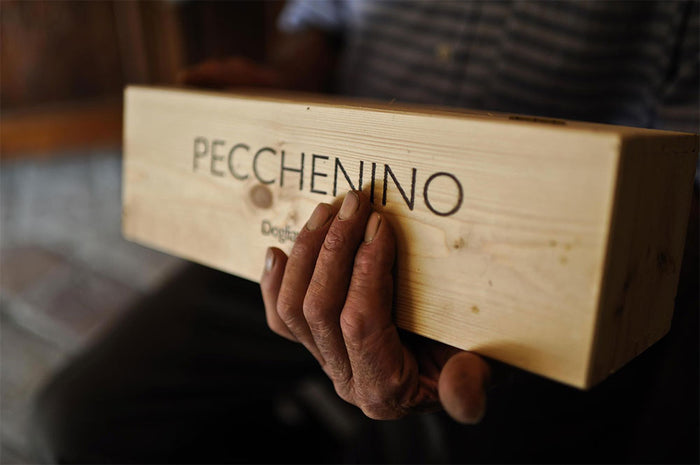 Pecchenino