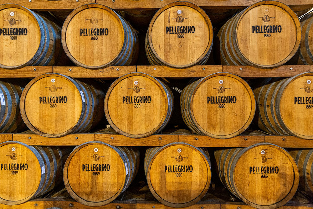 Pellegrino