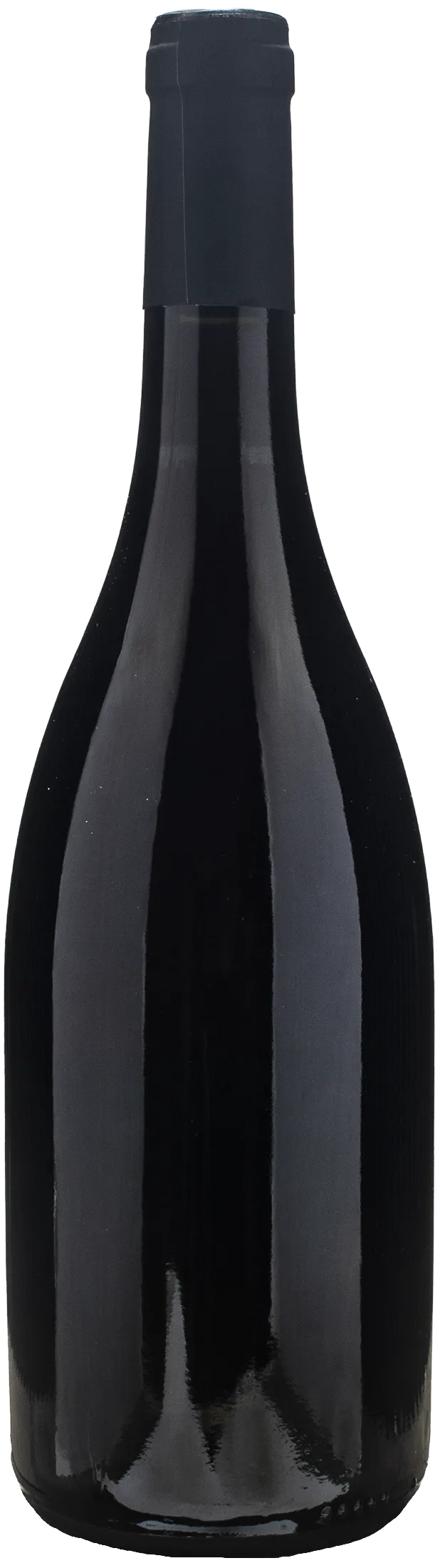 Petit Roy Bourgogne Cote d'Or Si Rouge 2022