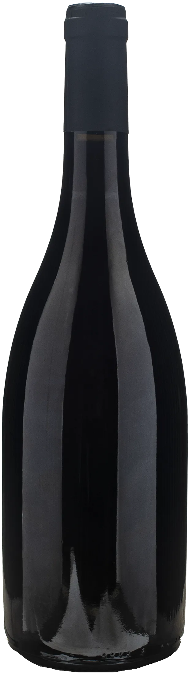 Petit Roy Hautes Cotes de Beaune Rouge Ronsin 2022