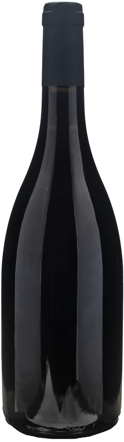 Petit Roy Hautes Cotes de Beaune Rouge Ronsin 2022
