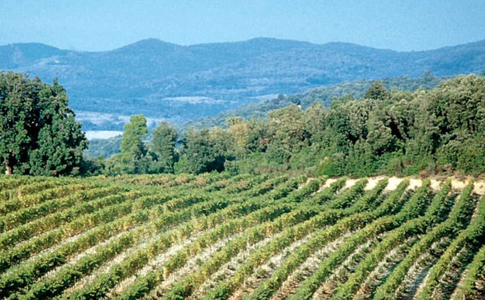Pian delle Vigne (Antinori)