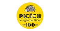 Picech