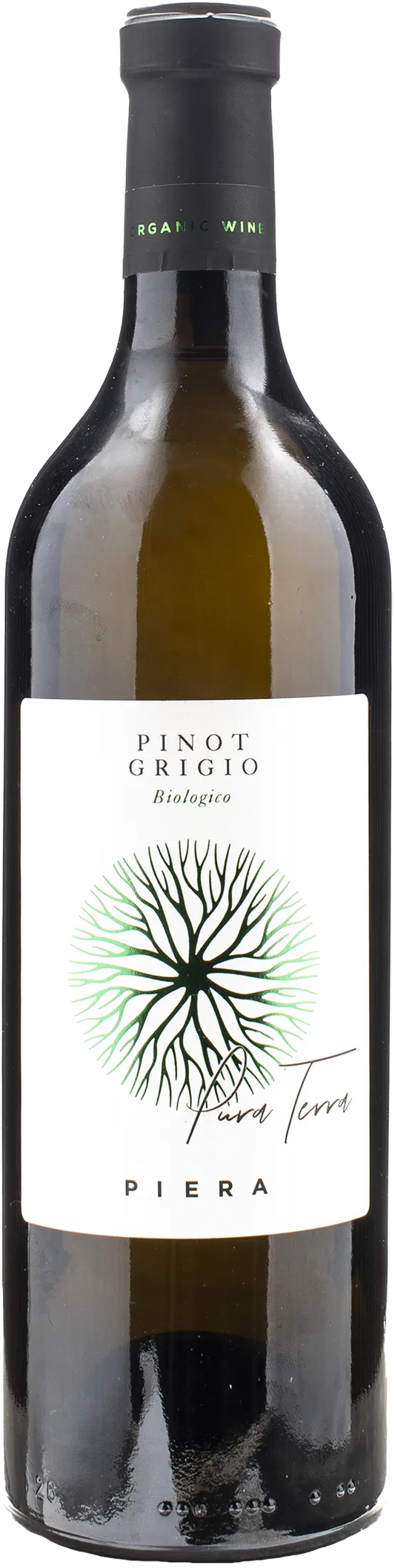 Piera 1899 Pinot Grigio delle Venezie Pura Terra 2022