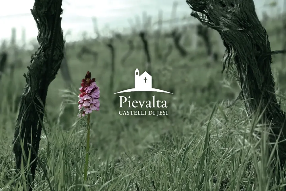 Pievalta