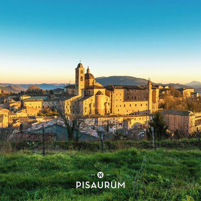 Pisaurum