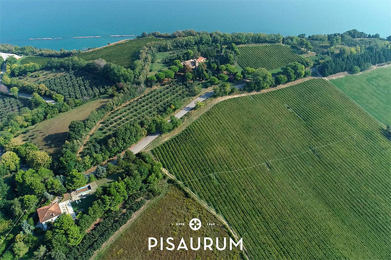 Pisaurum