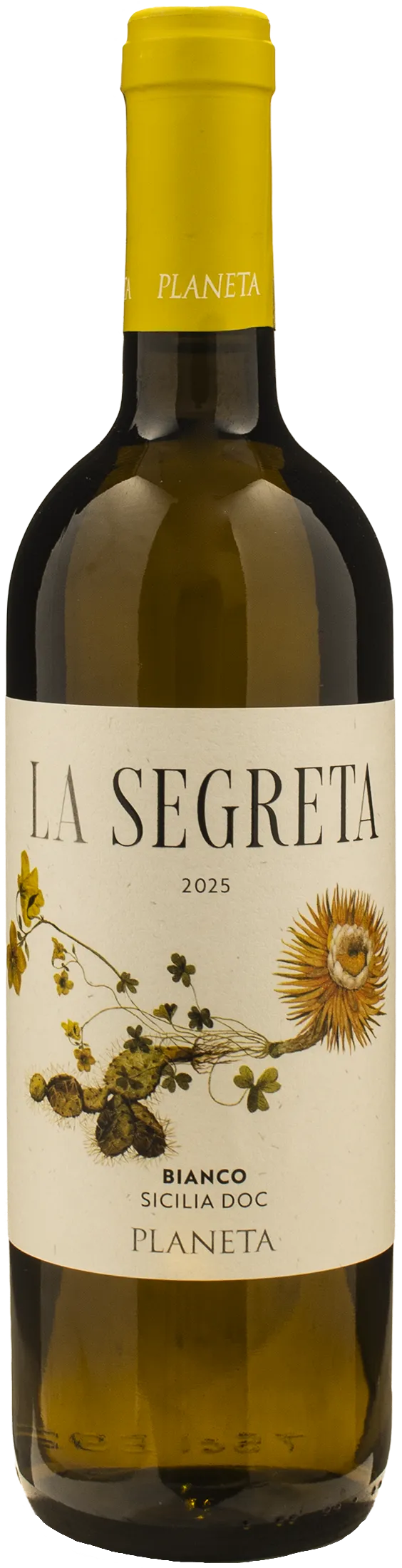 Planeta La Segreta Bianco 2025