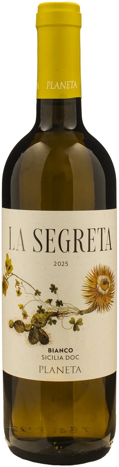 Planeta La Segreta Bianco 2025