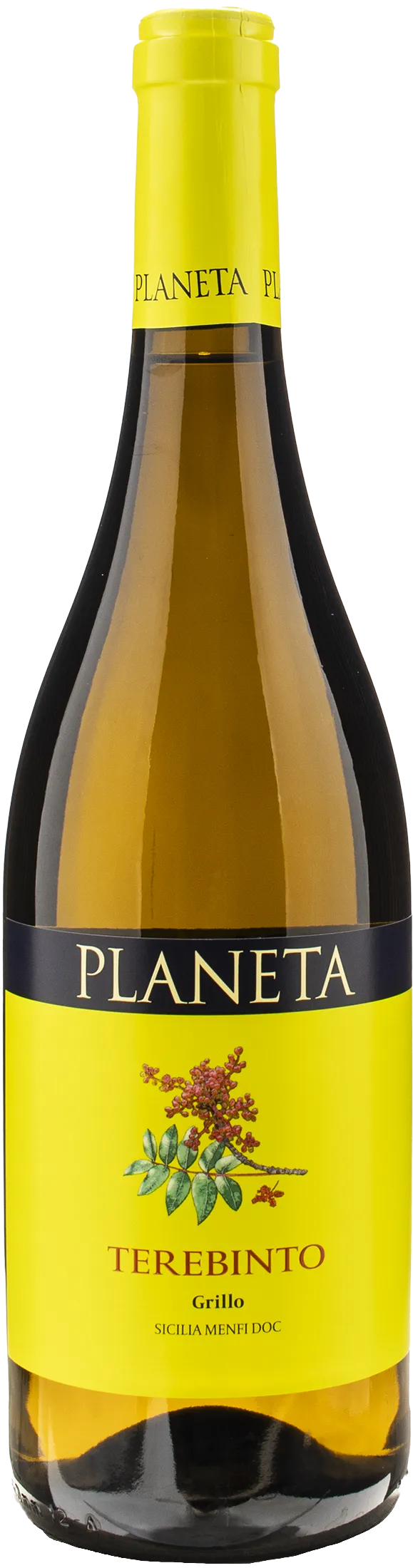 Planeta Terebinto Grillo 2023
