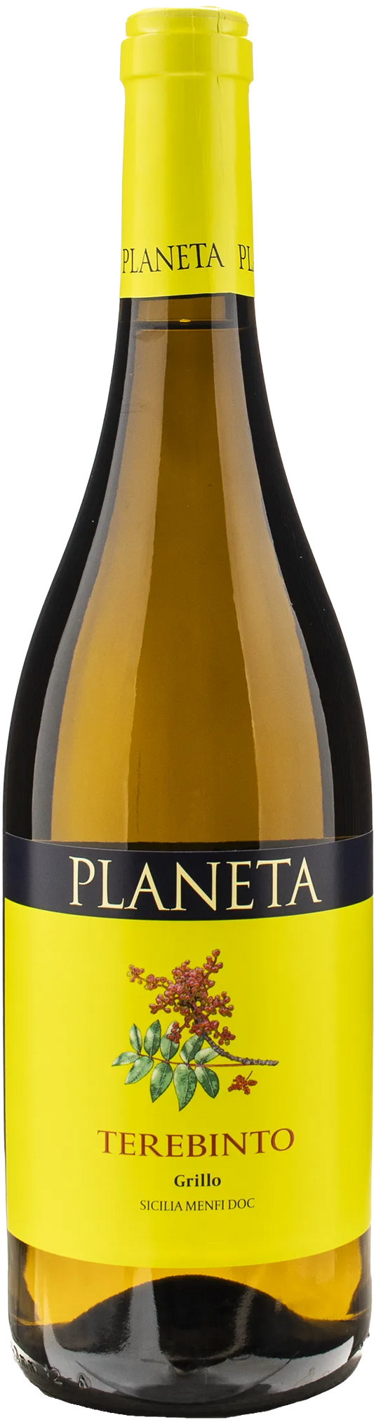 Planeta Terebinto Grillo 2023