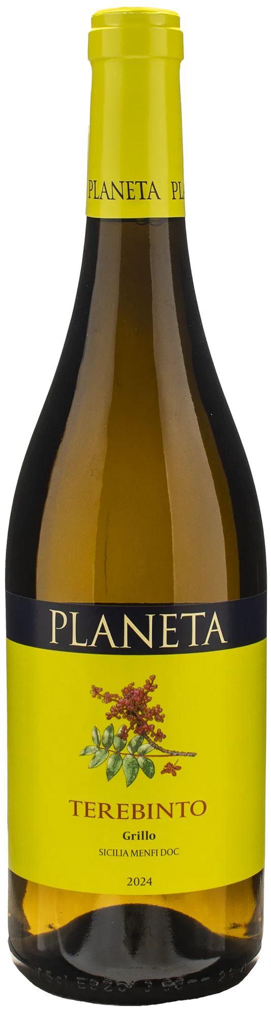 Planeta Terebinto Grillo 2024