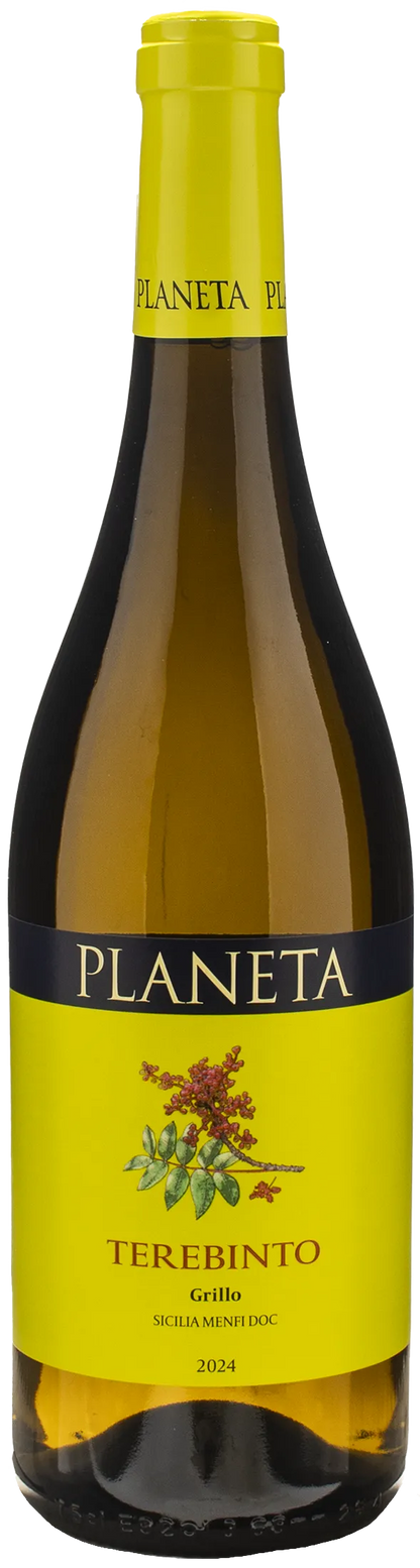 Planeta Terebinto Grillo 2024