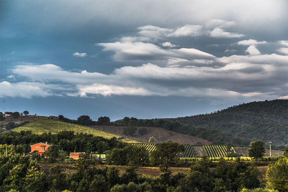 Podere 414