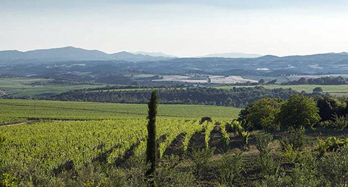Podere Brizio
