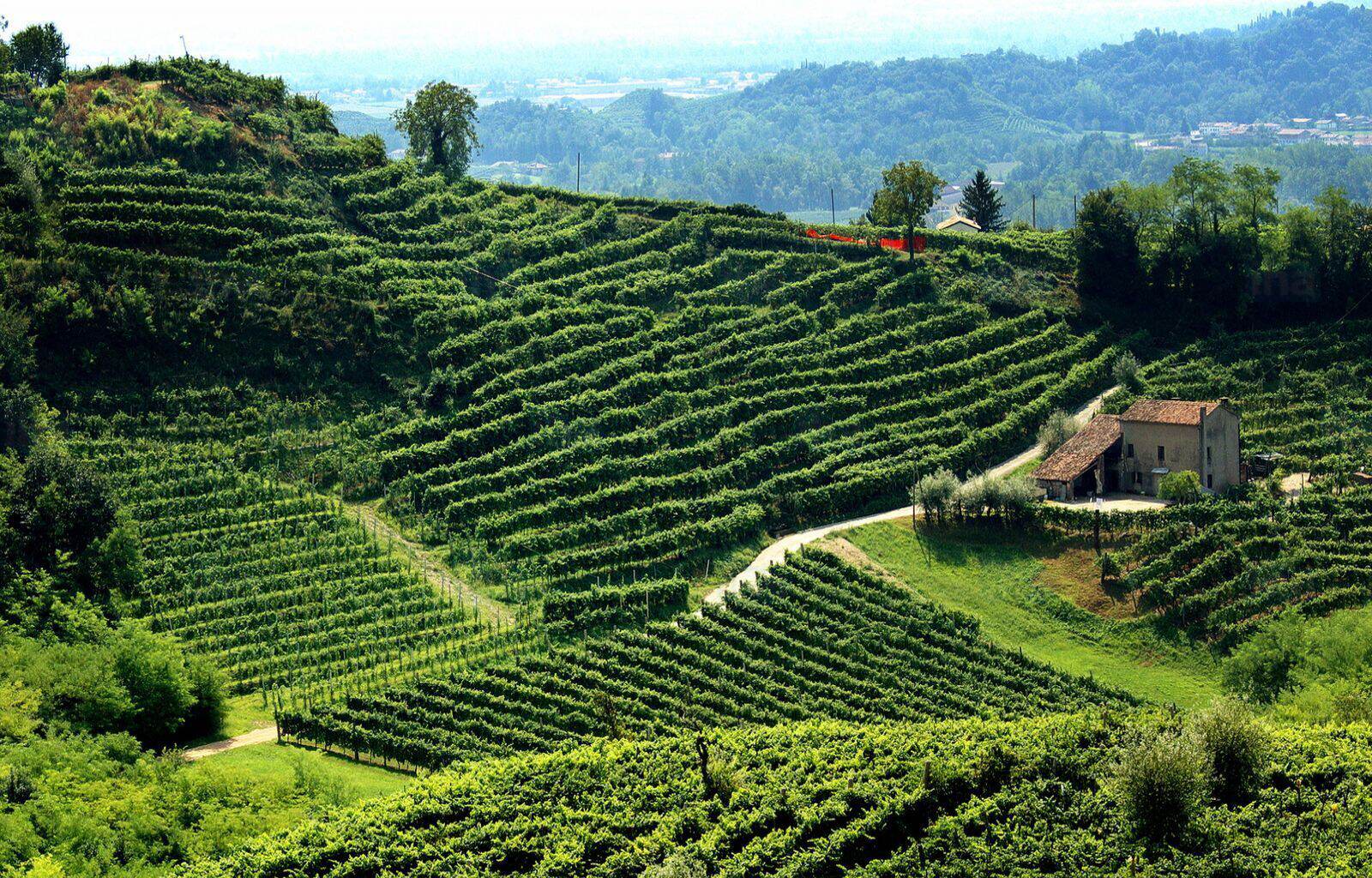 Podere del Gaio